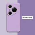 Grass Purple