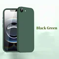 BlackGreen