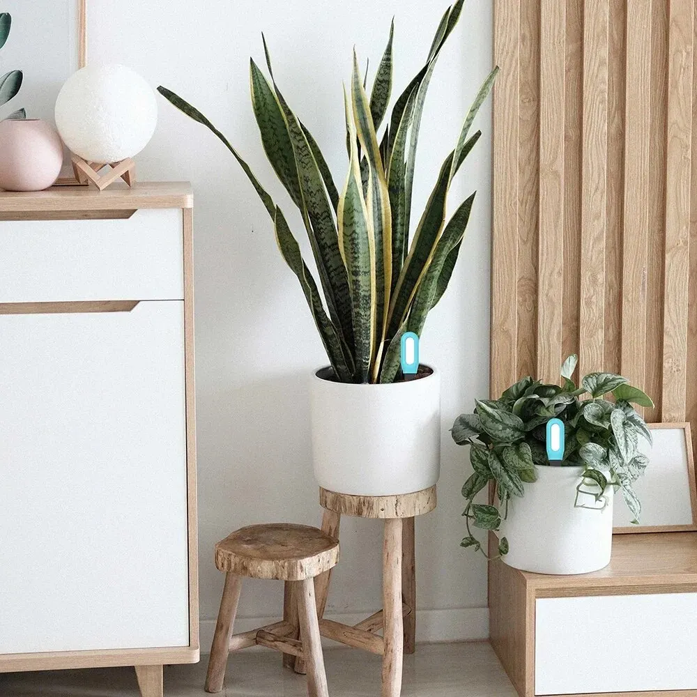 Tuya-probador de suelo inteligente con Bluetooth, medidor de temperatura y humedad, termo higrómetro, automatización de jardín, Detector de riego - imagen 4