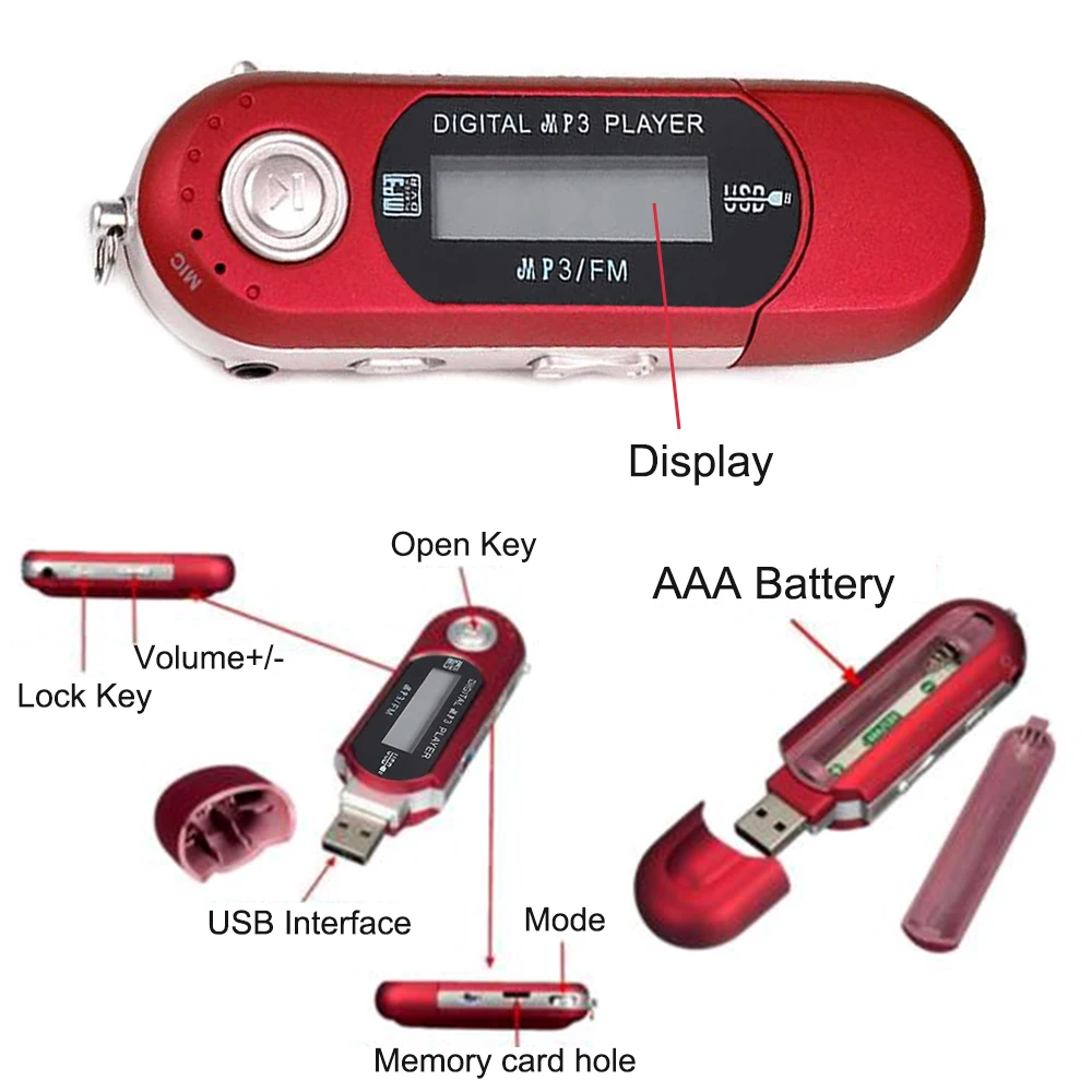 Reproductor de MP3 portátil, altavoz de música de tira larga, reproductor de tarjetas de música Hifi enchufable por USB, Mini MP3 para estudio deportivo - imagen 2
