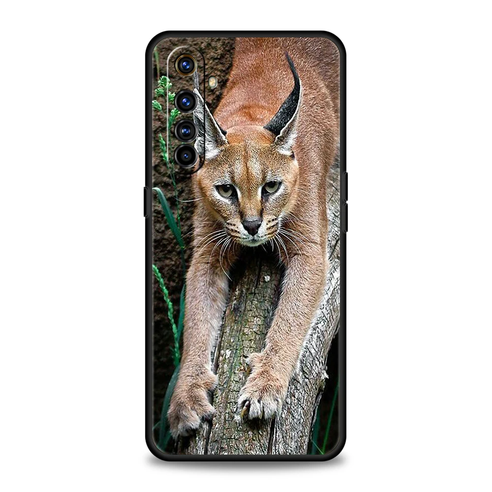 Funda africana Lynx Caracal Cat para Realme 13 12 11 10 9 8 5G 7 C25 C35 GT5 GT3 GT2 Pro Plus para Realme GT Neo 2 3 3T 5 - imagen 4