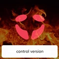 control version