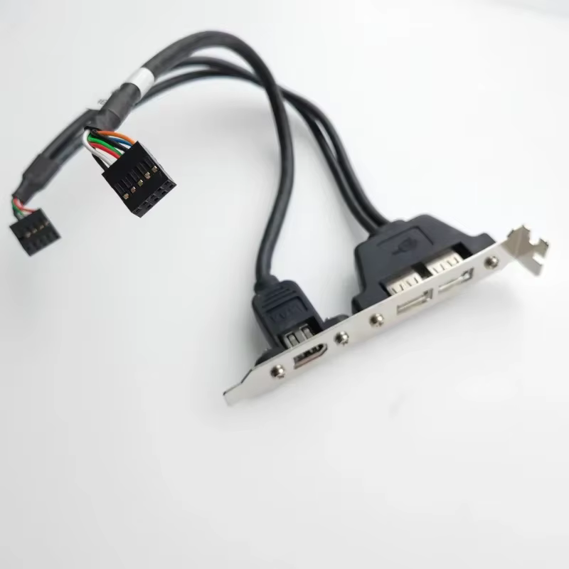 Cable Interno USB 2.0 FireWire 9 Pines para Placa Base Doble Puerto - imagen 2