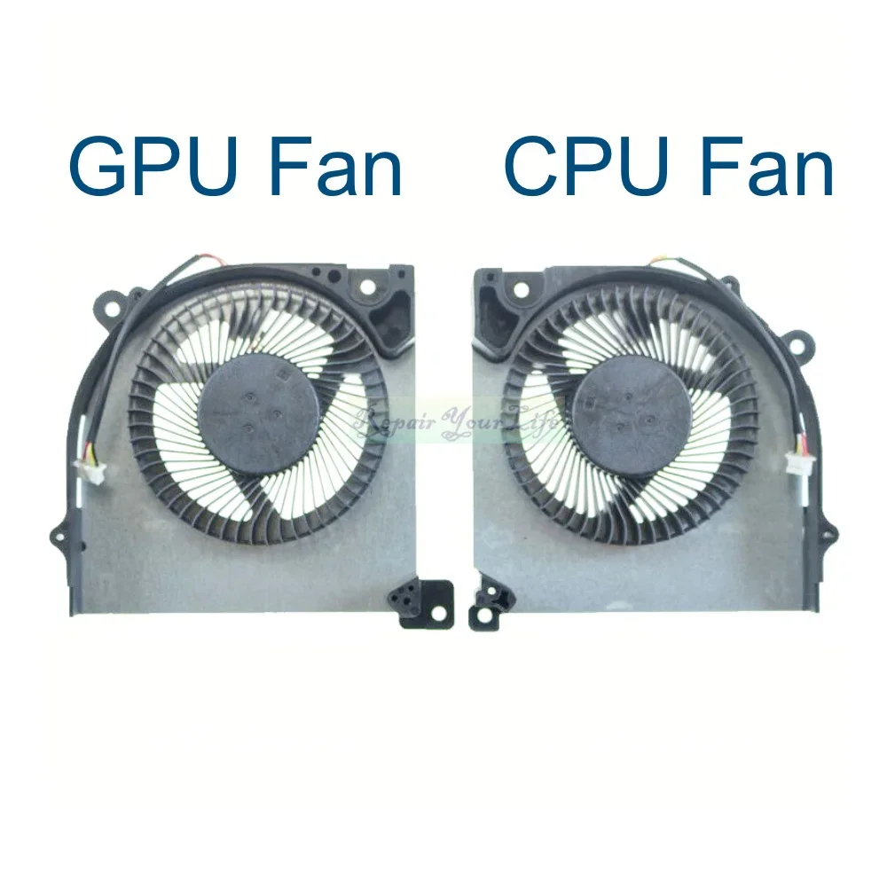 A Pair of Fans