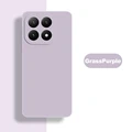 GrassPurple