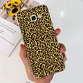case-c27