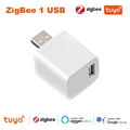 Zigbee-1USB Port