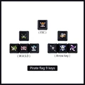 Pirate flag 9 keys