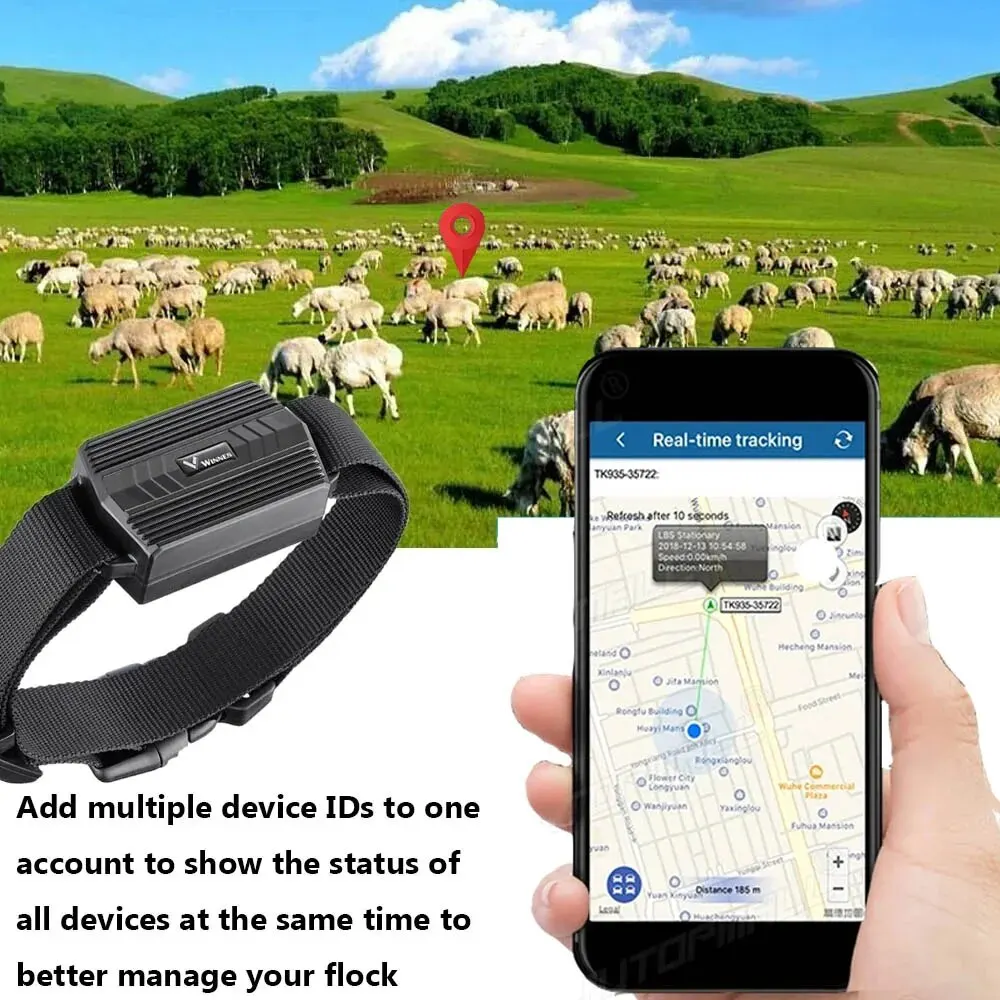 GPS rastreador de animales para Vaca, Camel, oveja, localizador de 3000mAh, impermeable, imán de coche en tiempo real, Monitor de voz, aplicación Web gratuita, PK TK905 - imagen 3