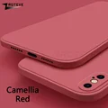 Camellia Red