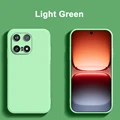 lightgreen