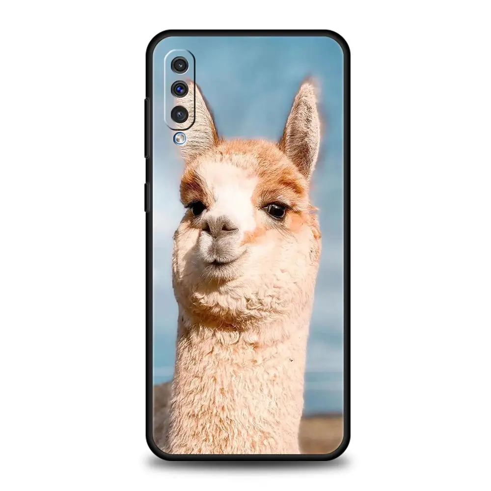 Funda de teléfono para Samsung A24, A12, A14, A32, A50, A70, A20E, A20S, A10S, A22, A40, A34, A54, A42, A52, 5G, A02S, A04s - imagen 4