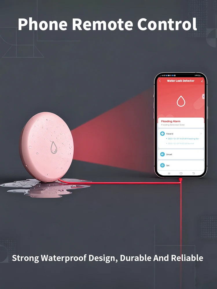 Zigbee-Detector de fugas de agua profesional, protección impermeable IP65, Tuya Zigbee, Sensor inteligente de fugas de inundación, aplicación remota, sonda de Metal - imagen 4