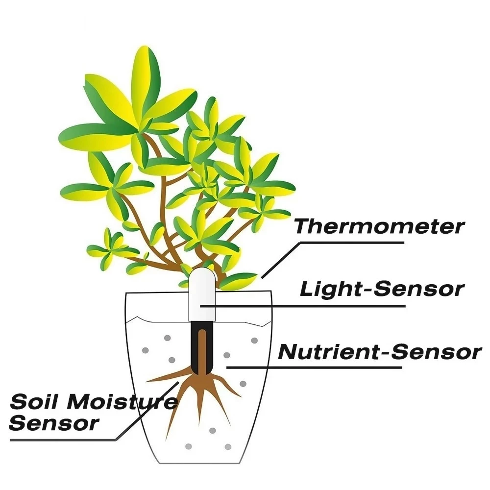 HHCC-Monitor de flora para el cuidado del jardín, planta, hierba, suelo, agua, fertilidad, Sensor inteligente, Detector de jardinería de flores para el hogar Mijia - imagen 5