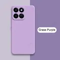 Grass Purple