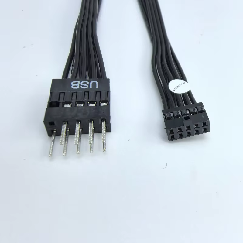 Lenovo B25 IB250MH Cable Extensión Mini USB 2,54mm Macho Placa Base