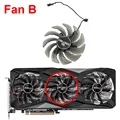 fan B