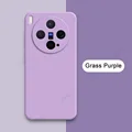 Grass Purple