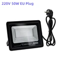 220V 50W EU Plug