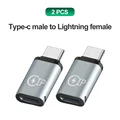 Type-C Male 2pcs
