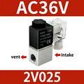 2V025-08 AC36V