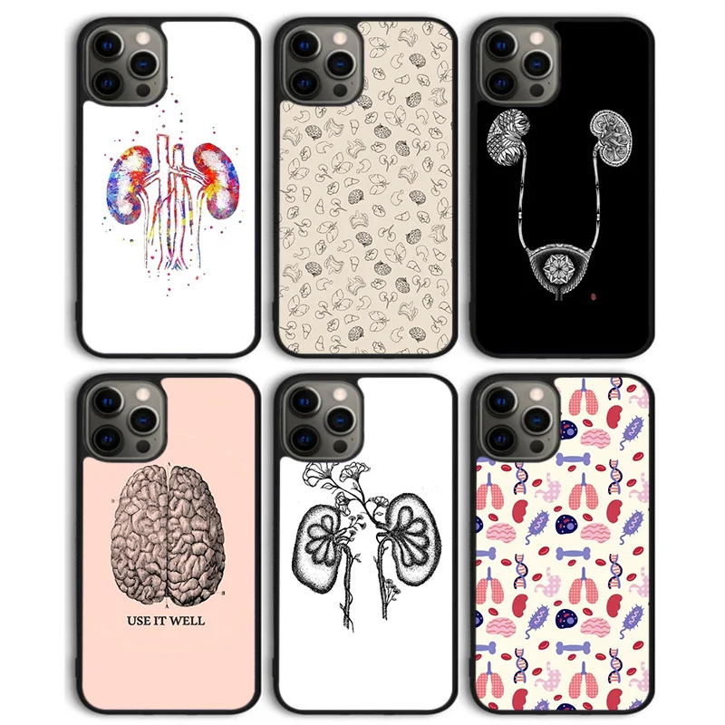 Funda de teléfono con arte renal cerebral de órganos humanos médicos para iPhone 17 Air 16 15 14 13 11 12 Pro Max Plus Coque