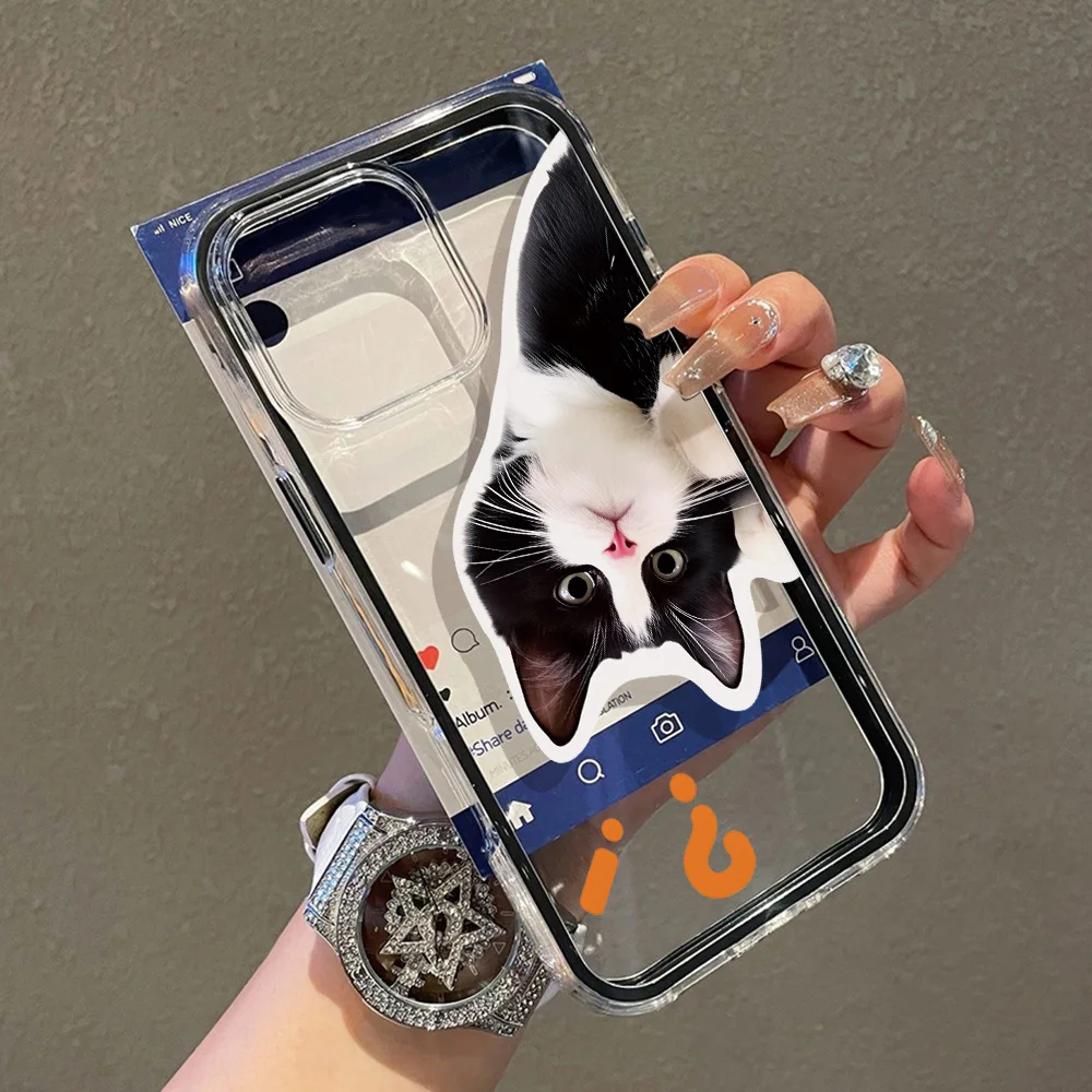 Funda de teléfono 2 en 1 de Color caramelo para iPhone 17 Pro Max 13 16 11 15 14 12 Air 17promax suave TPU transparente gato Animal Funda - imagen 5