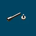 Silver screw