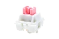 OTM Cream Pink
