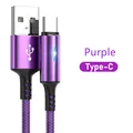 Type C Purple