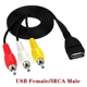 USB Female 3RCA Male