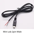 Mini 2Pin Male