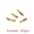 Female  20pcs