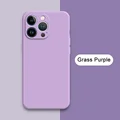 Grass Purple