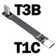 T1C-T3B