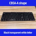 CBSA-11