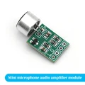 Mini microphone