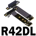 R42DL