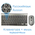 Russian Gray Set