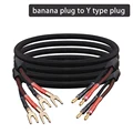 Banana Plug-Y Plug