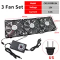 US 3 fans set