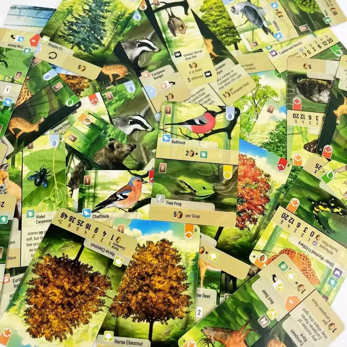 Tourist Pier Forest Shuffle versión en inglés Forest Shuffle juego de mesa tarjeta de reunión juego multijugador reunión casual - imagen 2