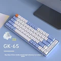 GK65 Blue Silver sha
