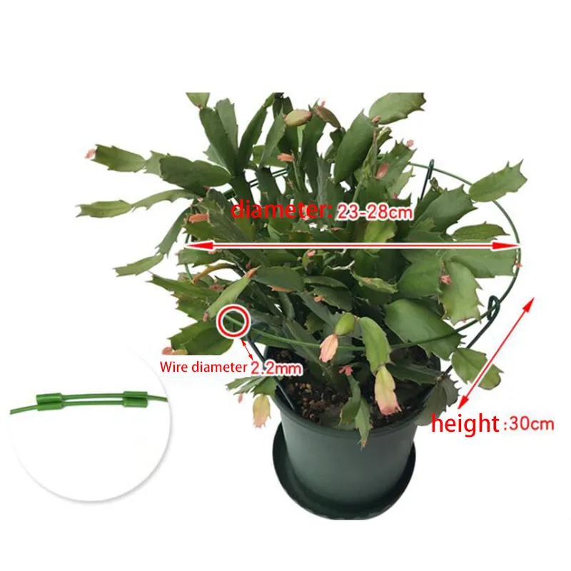 Soporte de Metal redondo ajustable para plantas y flores de jardín, soporte circular para anillo de estaca, herramientas de jardinería de hierro para escalar para bonsái Veg q - imagen 5