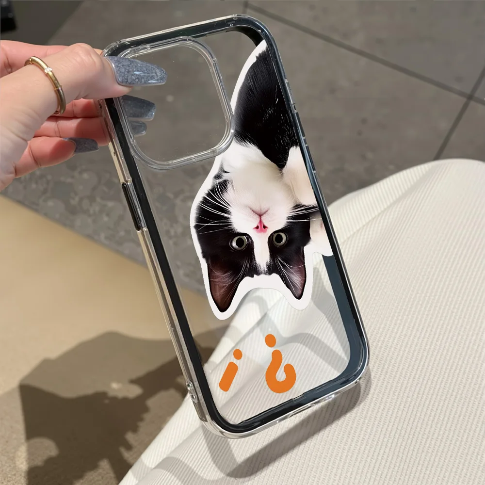 Funda de teléfono 2 en 1 de Color caramelo para iPhone 17 Pro Max 13 16 11 15 14 12 Air 17promax suave TPU transparente gato Animal Funda - imagen 3