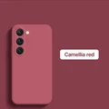 Camellia red