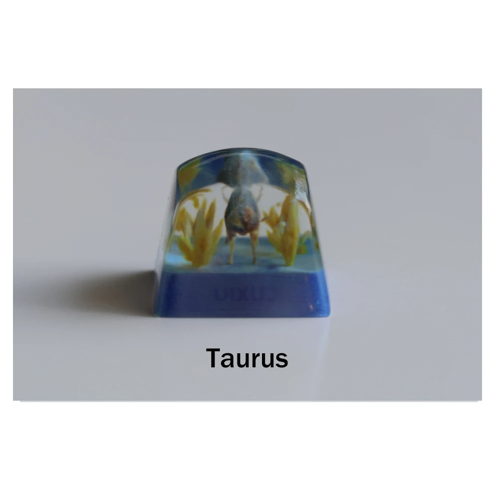 Taurus