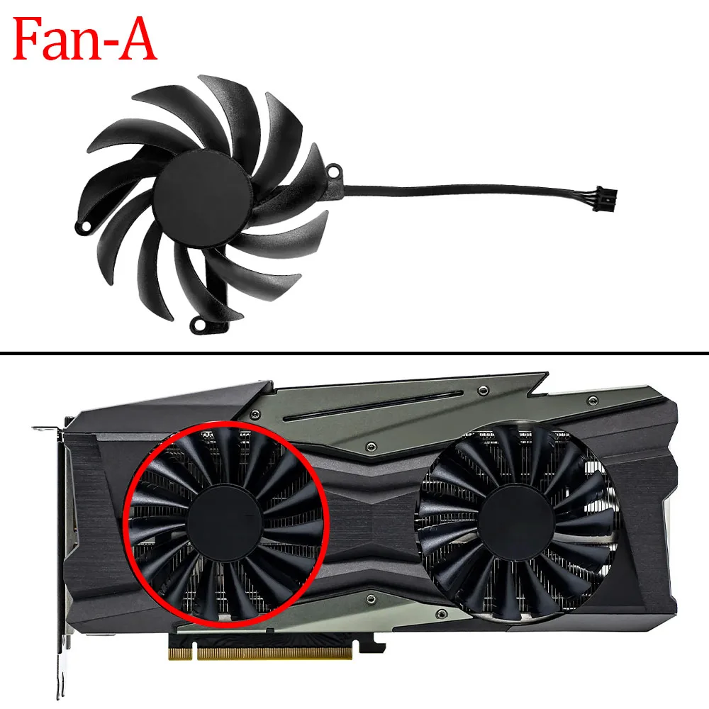 Fan - A