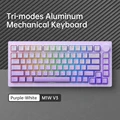 Tri Modes Purple