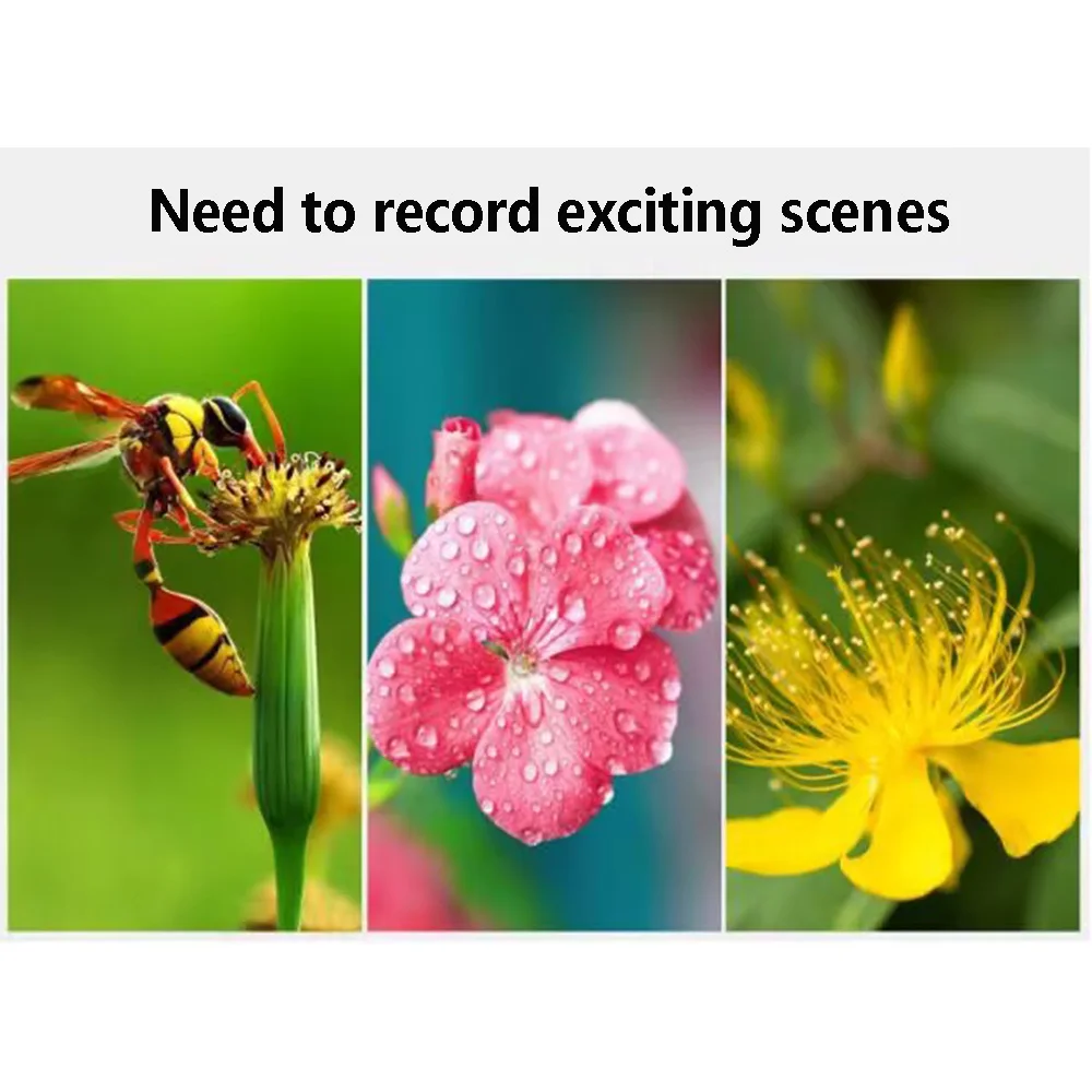 Macro cerca de arriba 10 + filtro de lente para Canon eos Sony Nikon d600 200d accesorios 60d 18-200 400d 37 49 52 55 58 62 67 72 77 82mm - imagen 3